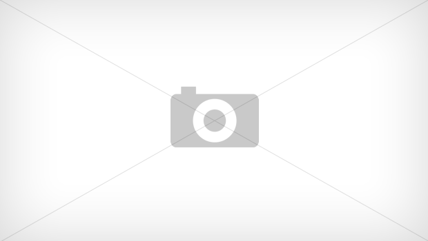 Электрическая отвертка Xiaomi HOTO Portable (QWLSD001)